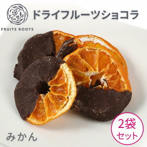 yP5{ 11/14-16z t[c[c hCt[c VR `R[g | IW ݂ IWFbg 2 L@JJI Y MtgΉ FRUITSROOTS