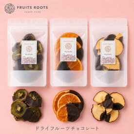 【P3倍 8/4-11】 フルーツルーツ ドライフルーツ ショコラ チョコレート 掛け りんご キウイ みかん 有機カカオ オランジェット ヘルシー 砂糖不使用 国産 ギフト対応可 FRUITSROOTS