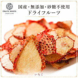 【P3倍 9/15】 【マツコの知らない世界で紹介】ドライフルーツ いちご ×2袋 とちおとめ 砂糖不使用 国産 無添加 ギフト対応可 お子様にも安心 フルーツルーツ fruitsroots ドライストロベリー