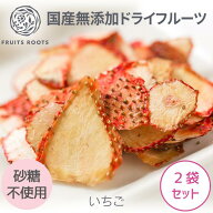 【P3倍 4/4-10】 【マツコの知らない世界で紹介】ドライフルーツ いちご ×2袋 とちおとめ 砂糖不使用 国…