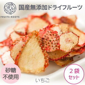 y8/30-9/1 P5{z y}cR̒mȂEŏЉzhCt[c  ×2 ƂƂ sgp Y Y MtgΉ qlɂS t[c[c fruitsroots hCXgx[
