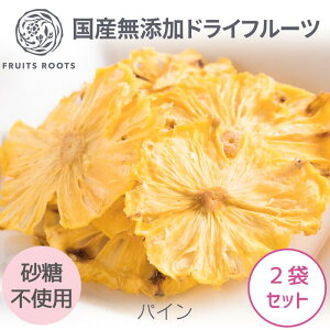 yP5{ 10/10z y}cR̒mȂEŏЉzhCt[c pCibv pC ×2 sgp Y Y MtgΉ qlɂS t[c[c FRUITSROOTS pCibv h