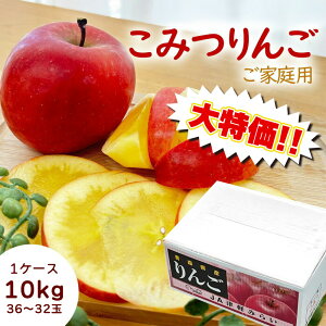 �y�Z�[��!!�z����� �P�[�X ������ �X���Y ��� ���݂�� �R�~�c�����S �ь� ���� ������ �� 10kg 32~36�� ������ S�T�C�Y ���ƒ�p ������p �󂠂� ��A���yBO�z [������ ���݂� �i�P�[