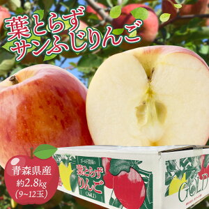 �y�����!!�z�X���Y �t�Ƃ炸�T���ӂ� ��� ��2.8kg 9~12�� �����L�Y���� ���ʌ��� 100�� �����S �ь� �T���t�W �T���x�m ���ƒ�p ������p [�t�Ƃ炸�T���ӂ� 2.8kg] �yBO�z