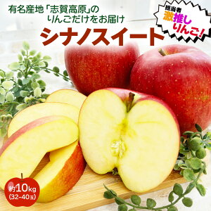 y!!z 쌧 uꍂY  VimXC[g Ȃ MZ 1.5kg 6 12 3kg 16~20 5kg 32~40 10kg P[X̔  S ь Ԃ̂܂t ƒp p A 󂠂 