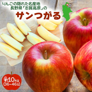 y̓Tz 쌧 uꍂY  T Ìy cK V 1.5kg 8 1.8kg 10 5kg 18~23 10kg 36~46 P[X̔  S ь Ԃ̂܂t ƒp p A