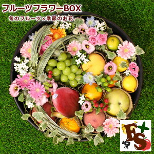 t[ct[BOX VC}XJbgƏ{̉ʎ5 ܂ lߍ킹 ʕ Zbg G߂̂ G߂̉ʕ j j  җ Ď P p[eB[ CX^f Zu  