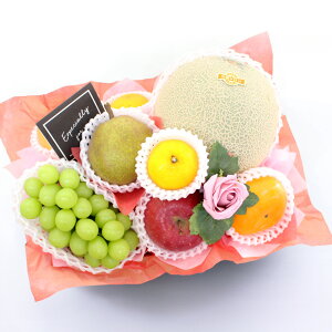 Ε t[cMtg t[c ʕ 荇킹 lߍ킹 摜zM   t[ \[vt[ Zbg Mtg H H̖o@ v[g 蕨 j j LO a