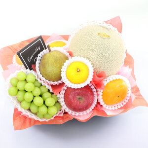 Ε t[cMtg t[c ʕ 荇킹 lߍ킹 摜zM   t[ \[vt[ Zbg Mtg H H̖o@ v[g 蕨 j j LO a