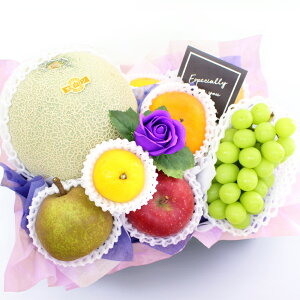 t[cMtg t[c ʕ 荇킹 lߍ킹 摜zM   t[ \[vt[ Zbg Mtg H H̖o  v[g   䋟 @ @v  49 l