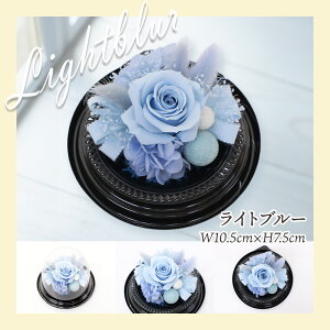 Ε t[cMtg t[c ʕ 荇킹 lߍ킹 摜zM   t[ vU[uht[ Zbg Mtg  v[g j  H H̖o @  L