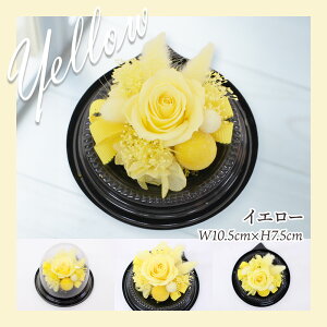 フルーツギフト フルーツ 果物 盛り合わせ 詰め合わせ 画像配信 即日発送 花 フラワー プリザーブドフラワー セット ギフト 贈答 プレゼント お祝い お供え 秋 秋の味覚 法事 供物 記念日 誕