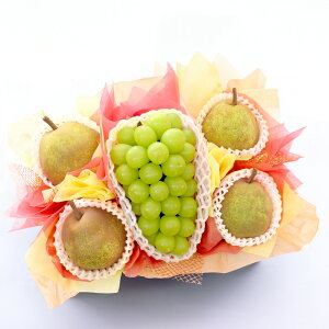 Ε Ε VC}XJbg  mȂ  t[cMtg t[c ʕ 荇킹 lߍ킹  Iׂe S Ȃ Ԃǂ Zbg ~ Mtg  v[g 