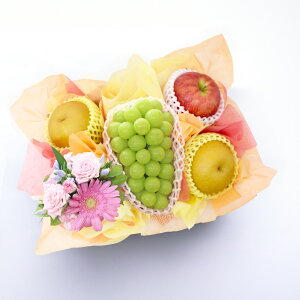 VC}XJbg   t[cMtg t[c ʕ 荇킹   t[ ԃAWg S Ȃ Ԃǂ Zbg Mtg H ~Mtg Ε Ε  v