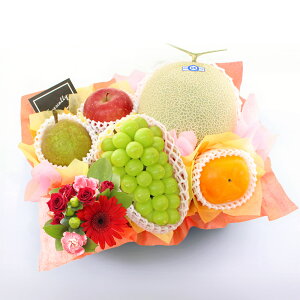 Ε  VC}XJbg  mȂ  ` t[cMtg t[c ʕ 荇킹   t[ ԃAWg S Ȃ Ԃǂ Zbg Mtg  v[