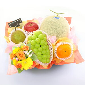 Ε  VC}XJbg  mȂ  ` t[cMtg t[c ʕ 荇킹   t[ ԃAWg S Ȃ Ԃǂ Zbg Mtg  v[