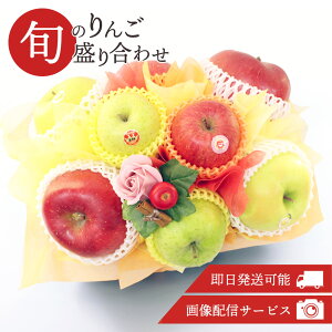  S ь Ԃ   t[cMtg t[c ʕ 荇킹 lߍ킹 摜zM  t[ \[vt[ Zbg Mtg 蕨  v[g j 