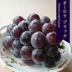 yoג!!zP[X  R I[ubN Ԃǂ 5kg 9`10[ 嗱 햳 Mtg j  p  󂠂 { lߍ킹 Ȃ Ԃǂ yBOz [I[ubNi