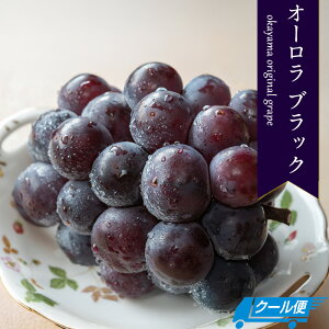 yoג!!zP[X  R I[ubN Ԃǂ 5kg 6`12[ 嗱 햳 Mtg j  p  󂠂 { lߍ킹 Ȃ Ԃǂ yBOz [I[ubNi