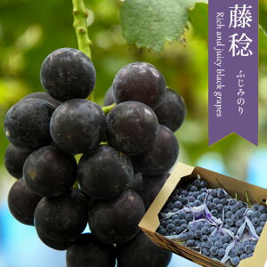 yoג!!zP[X  R  ݂̂  8`11[ 5kg Ԃǂ  嗱 x 햳 Ԃǂ Mtg j  p  󂠂 { lߍ킹 yBOz[iP[
