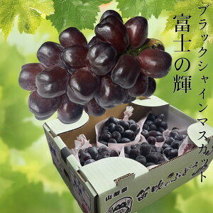 yoג!!zP[X  R xm̋P ubNVC ubN VC}XJbg 6`11[ 5kg Ԃǂ   Mtg  䒆 j  p  󂠂 { l