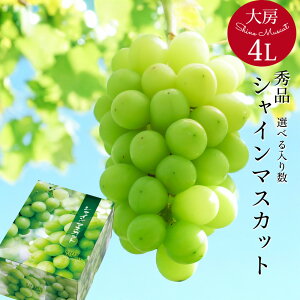 VC}XJbg RY Ԃǂ Mtg  hV̓  j j  LO  䋟 햳  ʕ t[c lߍ킹 yBOz[4LFVC}XJbg]