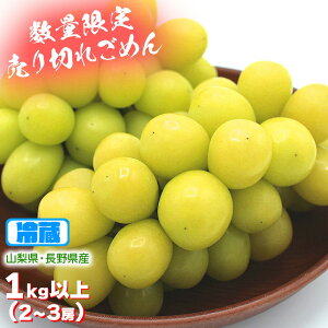 VC}XJbg Ԃǂ }XJbg 1[ 500g 2-3[ 1kgȏ 2L TCY ؂ Z[  j R  A t[c ʕ ʌ ҏ 󂠂 p MtgyBOz[V