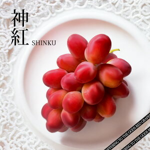 yoגzP[X  _g ԂԂǂ   ԕ 7`9[  5kg VC}XJbg xjo[h |킹uhE Ȃ 炲  [g ^g VN   t[c { 