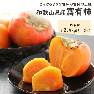 y\za̎RY xL` 2.4kg `  Ê` t[c ʕ Mtg v[g j j j j  Ε  ϔ yBOz[a̎RY xL`2.4kg]