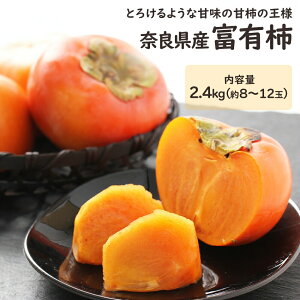 y\zޗǌY xL` 2.4kg 8~12 `  Ê` t[c ʕ Mtg v[g j 䋟 j j  Ε  ϔ yBOz[xL` 2.4kg ޗǎY]