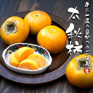 yoג!!zP[X  H` イ TNTNHVNI ` ʕ t[c H̖o ʎ  p ƒp ܂Ƃߔ YyBOz[H`iP[Xj4kg]