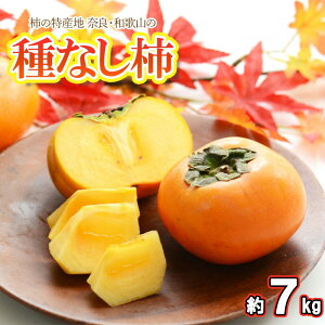yoג!!zP[X  킪ĐHׂ₷H̖o ˂Ȃ` Ղ7kgȏ M/LTCY 36~40ʓ܂2LTCY32ʓ ޗ a̎R `  햳 ʎ ʕ t[c 