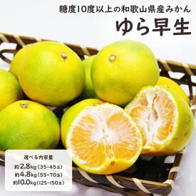 ゆら早生 極早生みかん 早生みかん ゆら 由良 和歌山 みかん ミカン 柑橘 選べる内容量 2.8kg 4.8kg 10kg S もしくは 2S ケース 箱売り フルーツ ギフト ご家庭用 ご自宅用【BO】