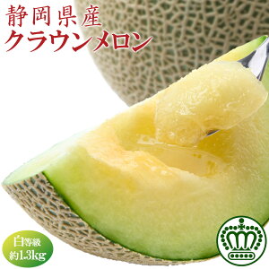 ÉY NE (1.3kg) 1  }XN  Mtg ʕ t[c ̓ ̓   j Ε hV̓ yBOz [NE 1]