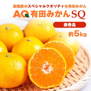 AQLc݂SQ Lc݂ P[X  a̎RY 5kg S  M ݂ ~J  t[c ʕ ʎ  Ε Mtg  蕨 v[g j j 䋟  e