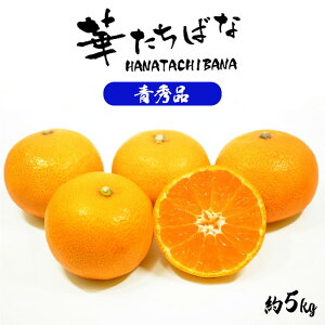 �؂����΂Ȃ݂��� �P�[�X ������ �������Y JA�ӂ��������� 5kg S �������� M �݂��� �~�J�� ���� ���x11�x�ȏ� �t���[�c �ʕ� �ʎ� �������� ���Ε� �M�t�g ���� ���蕨 �v���[���g ��j ���j�� 