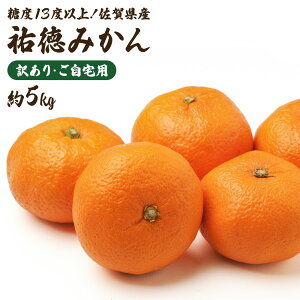 S݂ P[X  ꌧY JA 5kg S  M ݂ ~J  x13xȏ x 󂠂 A t[c ʕ ʎ  e ܂Ƃߔ p ƒpyBOz[