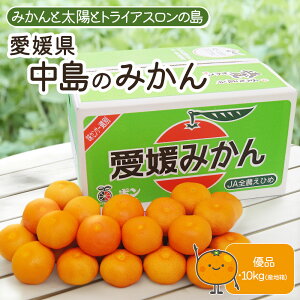 QY ݂ ~J  k 󂠂 Di G 5kg 10kg S~LTCY A ƒp p P[X  yBOz