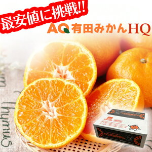 �y�y�V�ň��l�ɒ���I�z�P�[�X ������ AQ�L�c�݂���HQ �L�c�݂��� �a�̎R���Y 5kg L�T�C�Y �G�`�ԏG �݂��� �~�J�� ���� �t���[�c �ʕ� �ʎ� �������� ��e�� �܂Ƃߔ��� ������p ���ƒ�p 