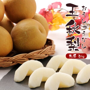 yoג!!zP[X  H イȂ Ȃ iV 5kg  a ԗ t[c ʕ  p ƒp ܂Ƃߔ 󂠂  yBOz[HiP[Xj5kg]