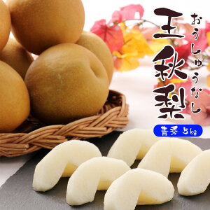 �y�o�ג�!!�z�P�[�X ������ ���H�� �������イ�Ȃ� �Ȃ� �i�V 5kg ��� �a�� �ԗ� �t���[�c �ʕ� ���� ����p �ƒ�p �܂Ƃߔ��� �󂠂� �������� �yBO�z[���H�i�P�[�X�j5kg]