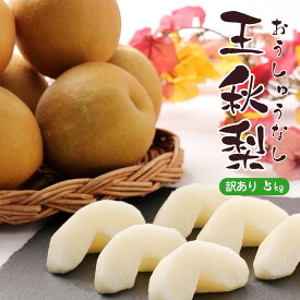 【出荷中!!】ケース 箱売り 王秋梨 おうしゅうなし なし ナシ 訳あり 5kg 〇等級 大玉 和梨 赤梨 フルーツ 果物 鳥取 自宅用 家庭用 フードロス まとめ買い 訳あり 送料無料 【BO】[王秋（ケース）訳あり家庭用5kg]