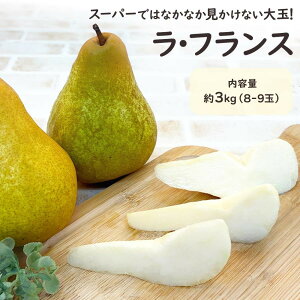 yR`璼zEtX tX m Ȃ iV   5L 6L Iׂe 2kg 5-6ʓ 3kg 8-9ʓ R` Yn Vs Rs t[c Mtg  蕨 v[g j 