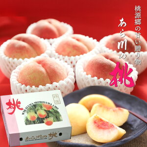 �y�\��z�a�̎R �����̓� ���炩�� ���� �� ���� �I�ׂ� 1.5�`4kg 6~15�� ������ �䒆�� ���R���P �͂Ȃ�� ���씒�P �������P ���P ���� �������� �쒆������ �� ���ϔ� �M�t�g �t���[�c �o�Y