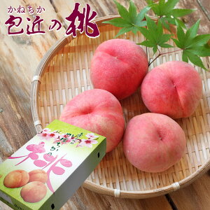 �y�\��J�n!�z��߂̓� ���˂����̓� �� �u�����h�� ���� �� ���� ������ �䒆�� �͂Ȃ�� ���씒�P ���P �܂��Ђ� �������� �Ȃ� ���ϔ� �M�t�g �t���[�c �o�Y�j�� �ʕ� ���j�� ������ ��