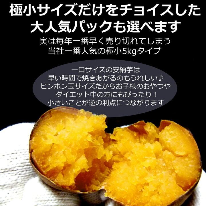 楽天市場】【セール中!!】安納芋 種子島産 向井さんの安納芋 生芋 送料 