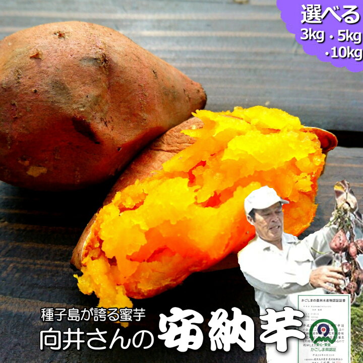 楽天市場】【セール中!!】安納芋 種子島産 向井さんの安納芋 生芋 送料 