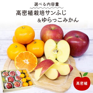 A͔| Tӂ ӂ  S ь  ݂ k Iׂe 4 6 6~8 16 t[c R` a̎R R Mtg v[g  蕨 j j LO a 