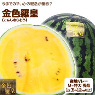 山形県産 他 すいか 大玉 金色羅皇 尾花沢すいか こんじきらおう すいか 1玉 約 5kg Mサイズ以上 黄色す…