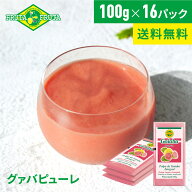 【公式】【送料無料】フルッタフルッタ 冷凍グァバピューレ 100g×16パック(4袋セット) 冷凍 スムージー …